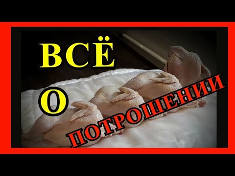 Video: Što znači potrošen?