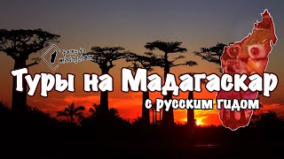 Индивидуальные и групповые туры на Мадагаскар.