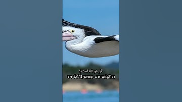 সূরা  আল-ইখলাস | Al-Ikhlas | سورة الإخلاص আয়াতঃ ৪ মাক্কী #islamics