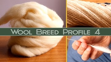 Hand Spinning Different Breeds: Jacob Wool Profile