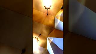 Famous McNallyTV:  Bo sings Holly Holy at TuTu's memorial service Net Worth