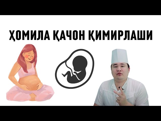 Rus kaltaklar ikki marta kirish fotosuratlar