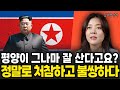 평양이 그나마 잘 산다고요? 정말로 처참하고 불쌍하다 (김가영 강사 / 1부)