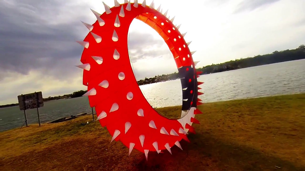 Phoenix Pro & Bol kite flying along Bay Run, Iron Cove - Sydney with Frankie