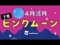 4月の満月「ピンクムーン」ライブカメラ【千葉】 4月16日／Pink Moon