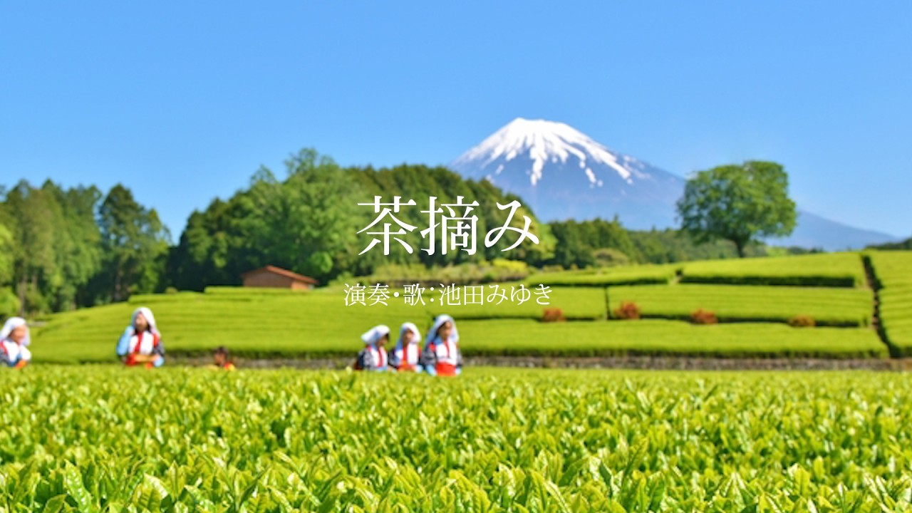 茶摘み（日本の唱歌）
