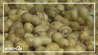 Guidance to feed babies peanuts helped thousands of kids avoid allergies, new study finds