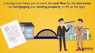 Anemative: Bridge Loan Explainer Video