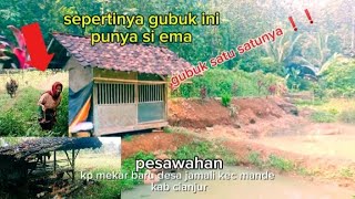 indah nya pesawahan di kampung mekar baru /si ema nya ramah bnget