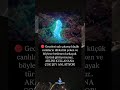 Çok Şey Anlatıyor Beğen paylaş abone ol #allah #sevgi #iman #islam #hikmetlisözler #dua