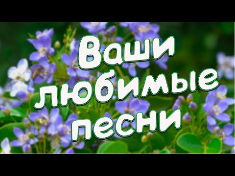 Заходи и Отдыхай! Песни,которые Вы не забудете никогда!