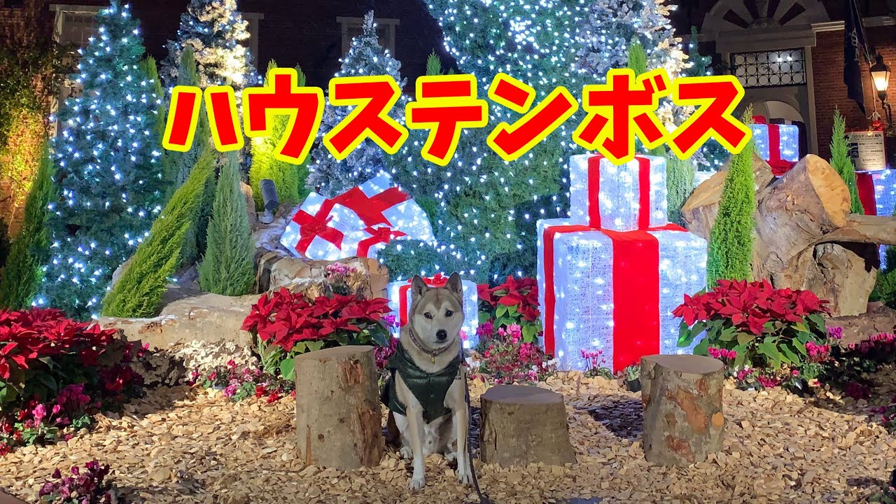 わんことハウステンボス発 イルミネーションを見ながら食事してたら嫌いな食べ物を出され 暴挙に出た犬 19 年12月nagasaki Huis Ten Bosch Youtube わんことハウステンボス発 イルミネーションを見ながら食事してたら嫌いな食べ物を出され 暴挙に出た犬 19 年12月nagasaki Huis Ten Bosch Youtube