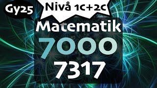 Matematik 7000 Nivå 1c+2c 7317 matte 2c gy25