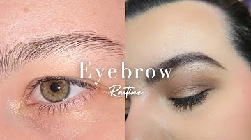 Updated Eyebrow Routine 2023!