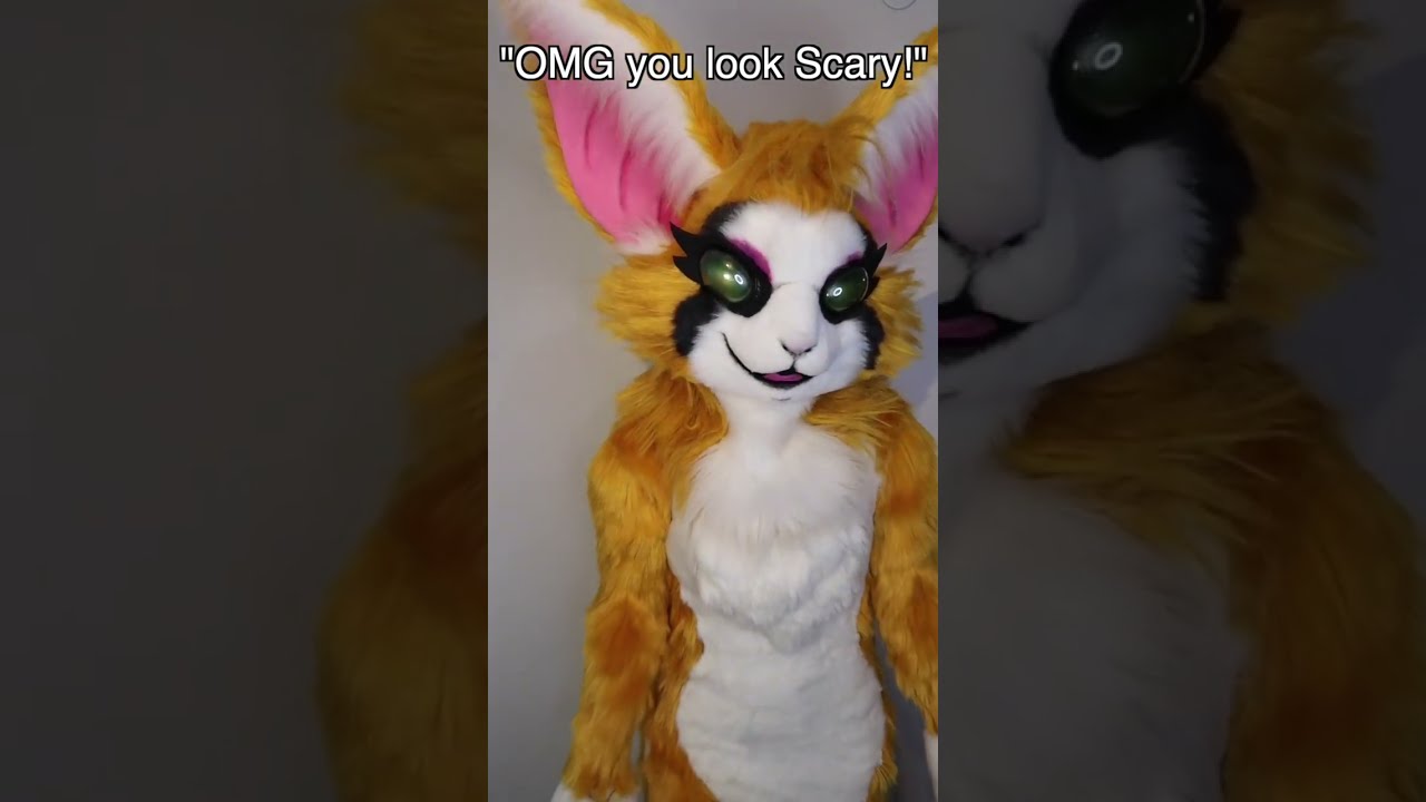 FIDGET IS CUTE 