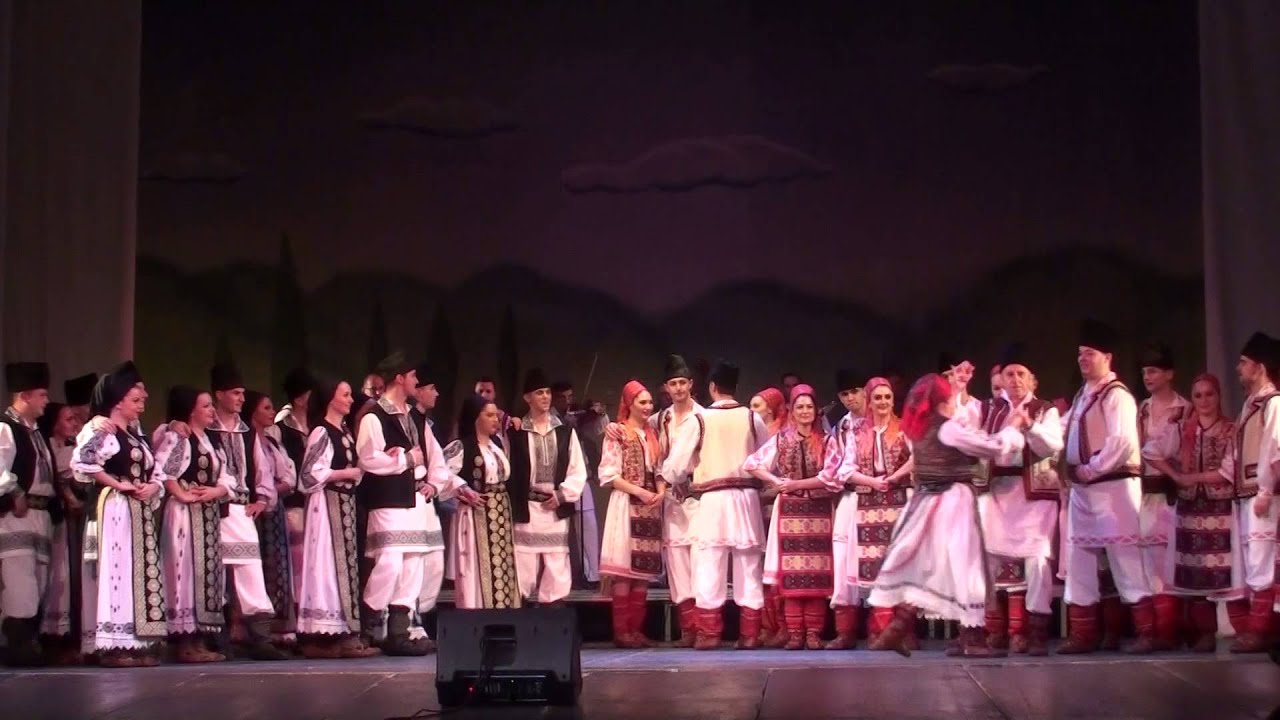 Doina Timisului 55   Partea a sasea