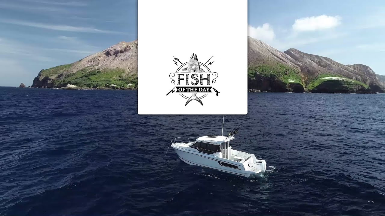 FISH OF THE DAY Saison 2 Episode 3 – White Island et son volcan en activité !