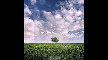 سورة : الأحزاب القارئ : محمد اللحيدان