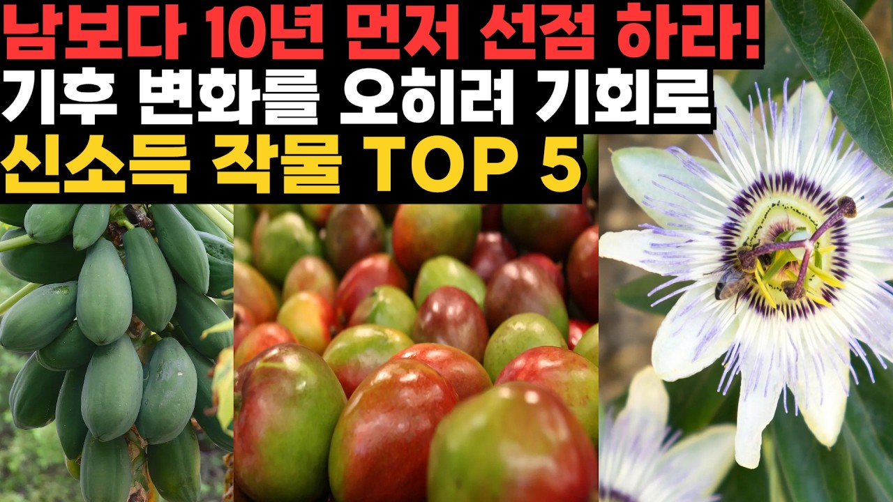 지금 심으면 10년 앞선다! 기후변화시대 신소득 작목 TOP 5