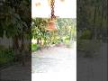 #villagetemple Jungle village Temple