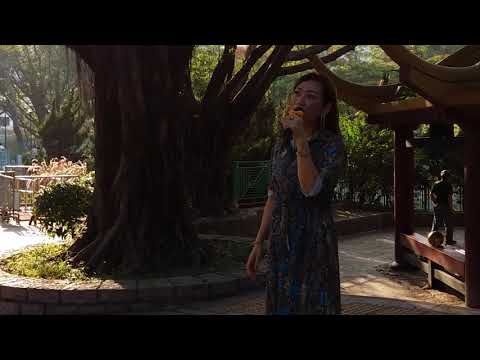 20190513  Singing  金樂之星  Yuki  《從此心𥚃有個你》