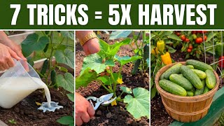 7 Cucumber Tricks That Will Literally 5X Your Harvest This Season