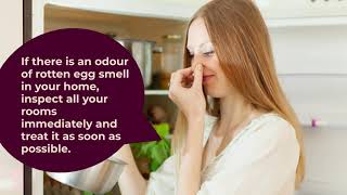 How To Get Rid Of Rotten Egg Smell In House?