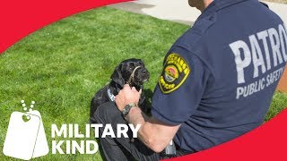 Veteran and service dog are perfect 6-legged team
