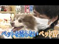 【なぜ】ペットを売らないペットショップ 犬のケアやサービスに注力【兵庫・宝塚】