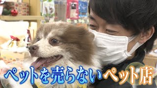 【なぜ】ペットを売らないペットショップ　犬のケアやサービスに注力【兵庫･宝塚】