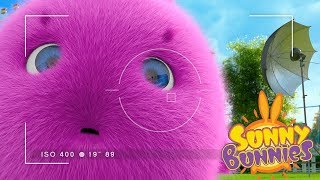 Videos For Kids | Sunny Bunnies PHOTOSHOOT | Funny Videos For Kids
