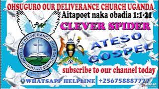 OWOTORAI BY CLEVER SPIDER