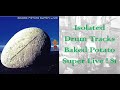 Isolated drum tracks of the baked potato super live  