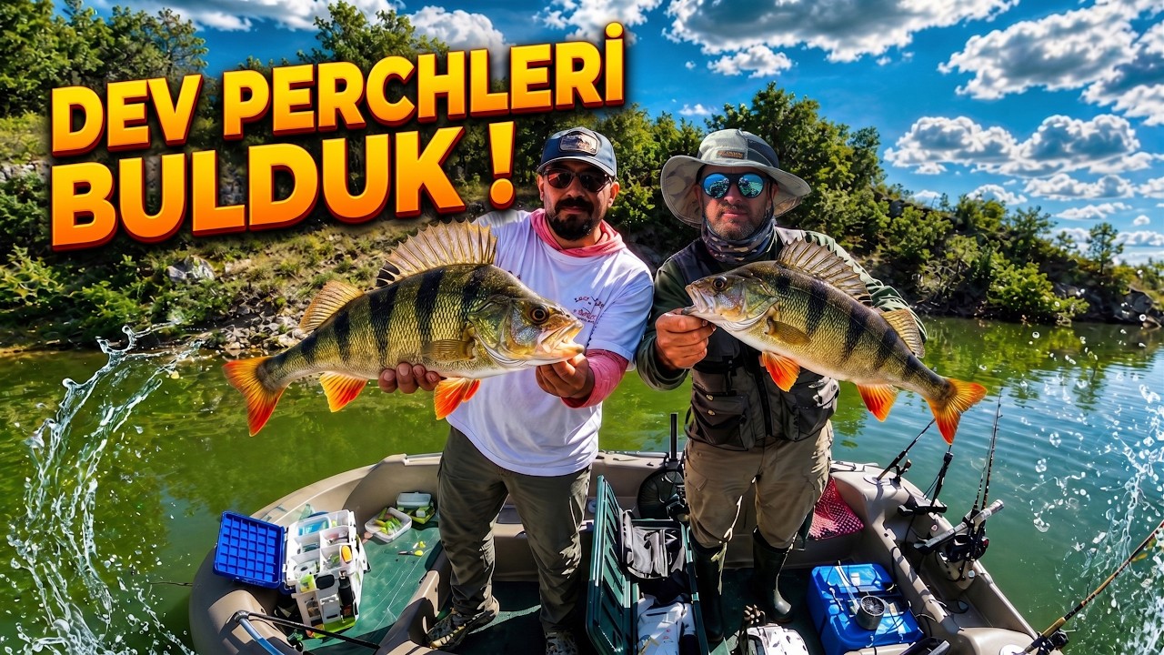 Ankara Perch Avı | Onur Fırat Polat ile Trofe Peşinde | Perch Fishing