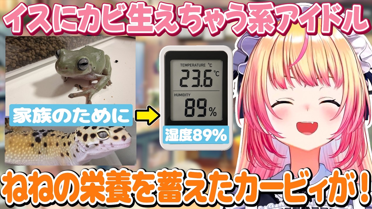 イスにガッツリカビが生えた話+PC買い換えたいが値段に絶望するねねち【ホロライブ/桃鈴ねね/切り抜き】