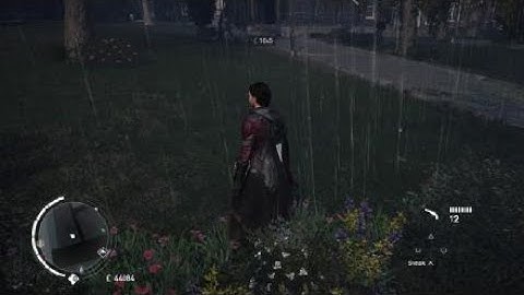 Charles Darwin Memories: The Berlin Specimen: 100% Sync