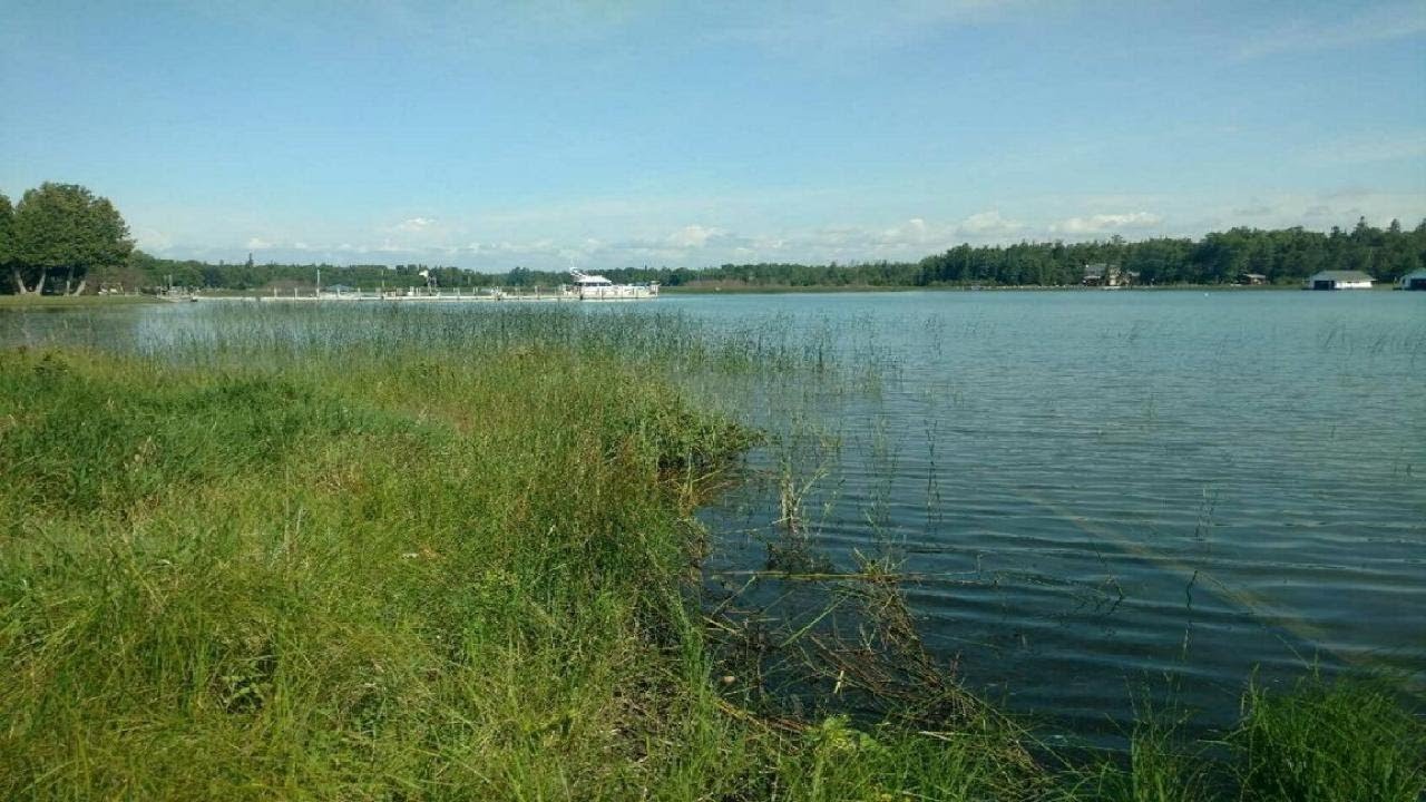 00 S FOREST LN, Cedarville, MI Presented by John Griffin. YouTube