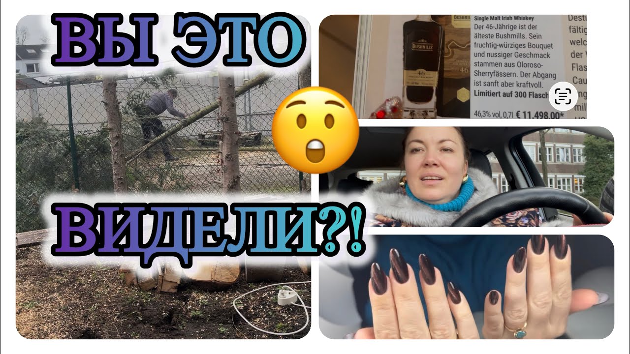 Вы это видели? 😲 Пятничный влог: весна в воздухе, «кошачий глаз» и виски за 12 000 €/