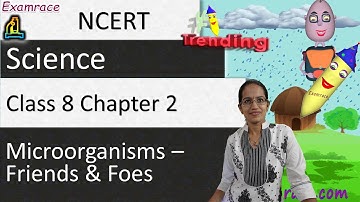 NCERT Class 8 Science Chapter 2: Microorganisms – Friends and Foes (NSO/NSTSE/Olympiad) Examrace