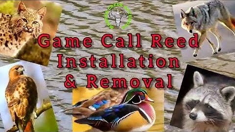 Game Call Reed Installation & Removal.