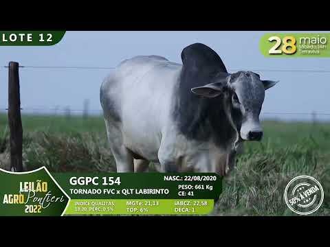 LOTE 12   GGPC 154
