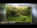 Betta tank setup 1year  low tech aquarium  no filter no ferts no co2walstad method ep4