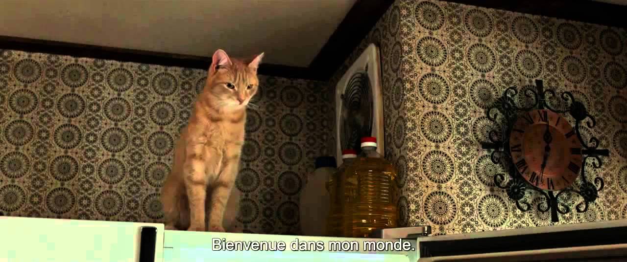 The Voices (2015) International Red Band Trailer - Ryan Reynolds, Gemma Arterton