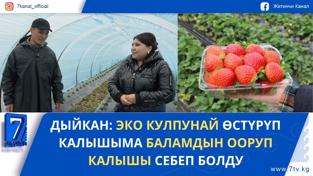 ХИМИЯСЫЗ ТҮШҮМ: 150 МЕТРЛИК БАЛАГАНДА БЫШКАН ЭКО КУЛПУНАЙ