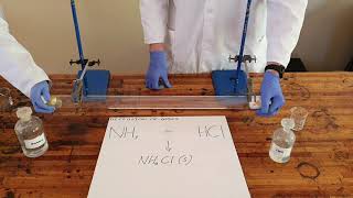Particle Model of Matter Demonstration - Diffusion of Gases at Different Speeds