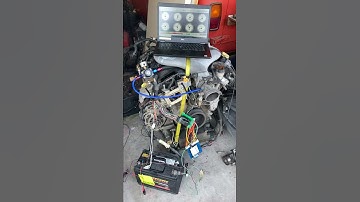 Holden Alloytec V6 running on Speeduino board