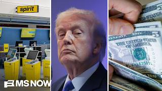 Trump has ‘no real economic agenda’ for working class: Dem Rep. on Spirit Airlines bailout failure