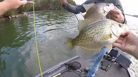 Use the CURRENT to CATCH DEEP RIVER CHANNEL CRAPPIE.