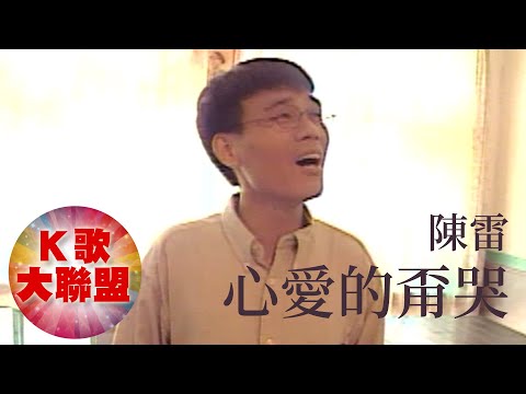 陳雷-心愛的甭哭【KTV導唱字幕】