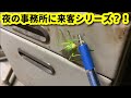 #506 カブトムシ、カ二、そして次のお客さまは…(^▽^;)